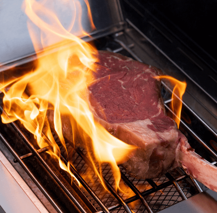 Eminence 605 | Advanced Stainless Natural/Propane Gas Grill 6 Burner (SALE) + Free Shipping