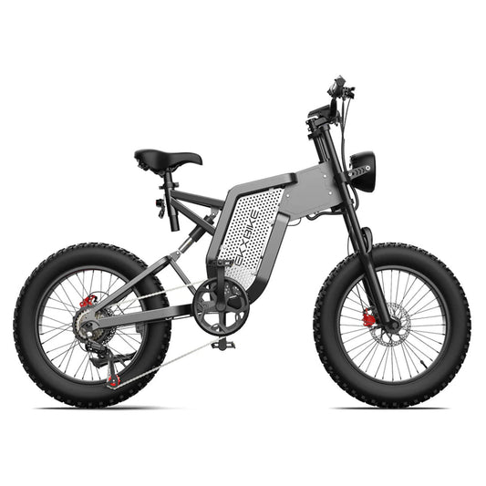 EKX X20 2000W 48V/35AH Electric Bike Mountain Moped E-Bike